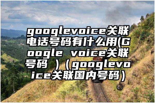 googlevoice关联电话号码有什么用(Google voice关联号码 )（googlevoice关联国内号码）