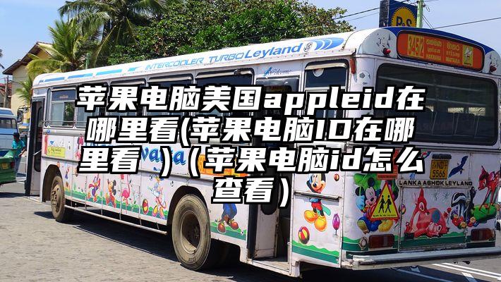 苹果电脑美国appleid在哪里看(苹果电脑ID在哪里看 )（苹果电脑id怎么查看）