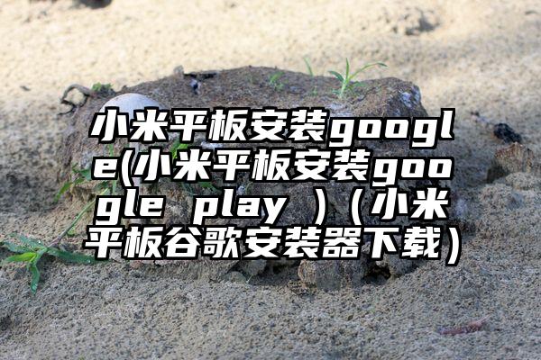 小米平板安装google(小米平板安装google play )（小米平板谷歌安装器下载）